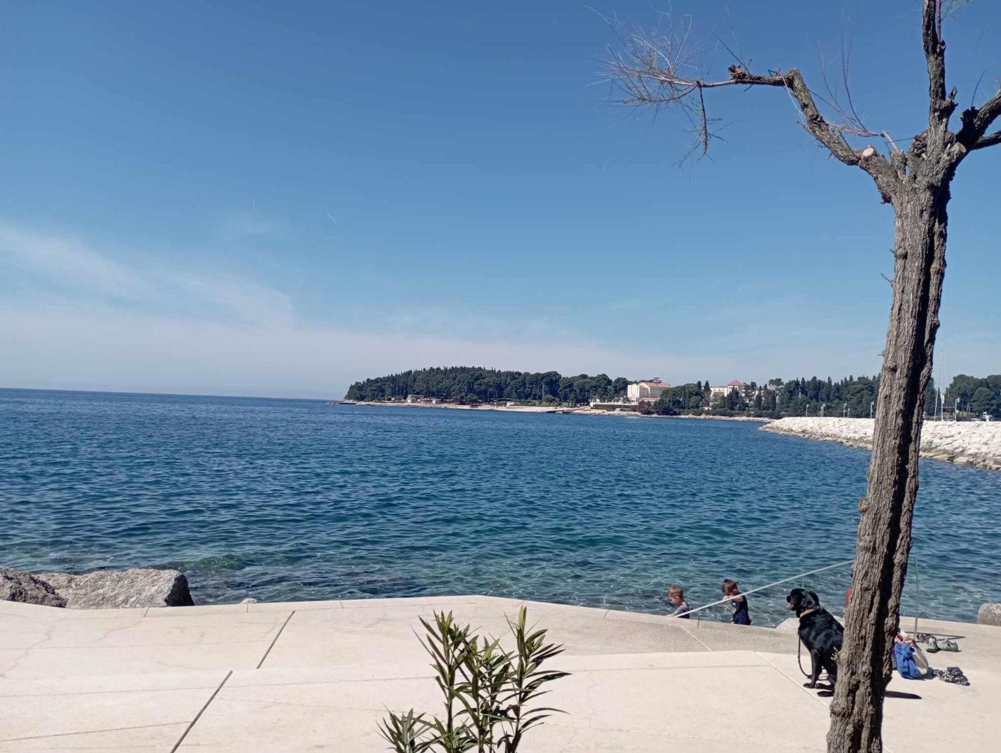 Apartment Angela Rovinj